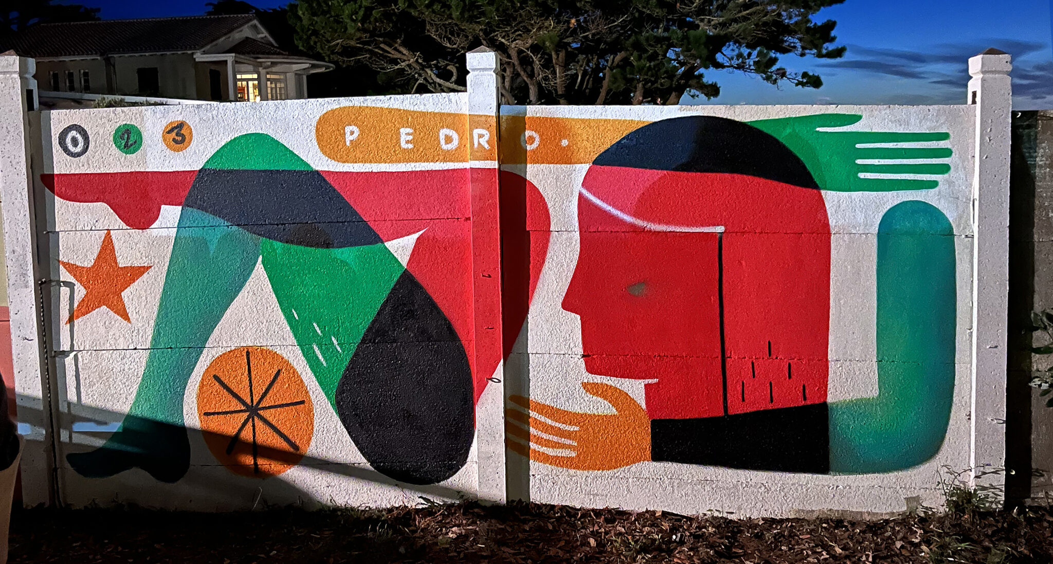 Pedro Richardo, artiste muraliste, peintre et illustrateur, installé à Nantes | © PEDRO